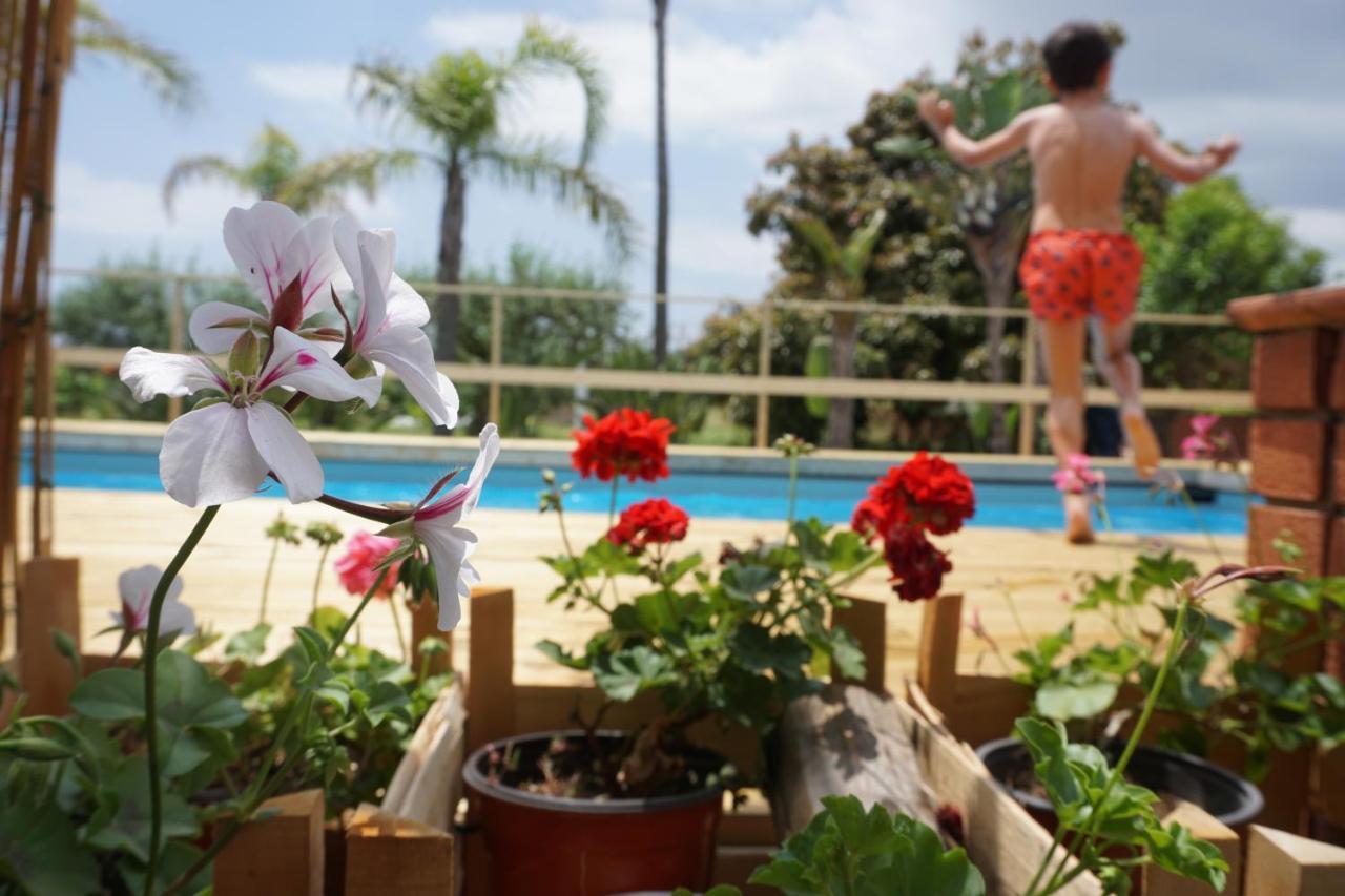 Villa Carolea Acireale Eksteriør billede